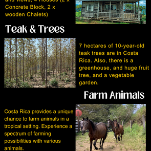 Exclusive Ranches and Farms for Sale in Costa Rica