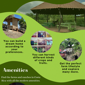 Explore Farms and Ranches for Your Dream Home In Costa Rica